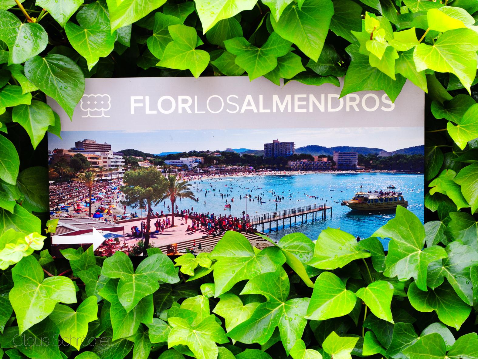 Flor Los Almendros Hotel Peguera Exterior photo